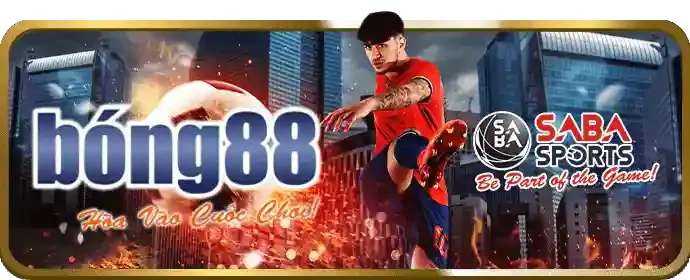 Hỗ Trợ Fvip88